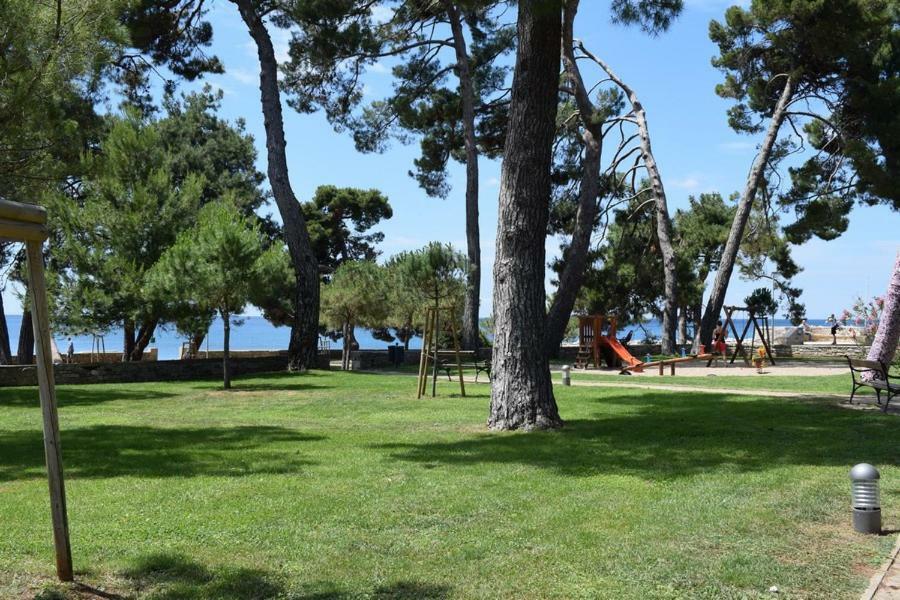 Apartment Matea Novigrad  Exterior photo